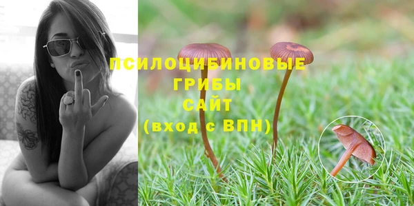 кокс Болохово