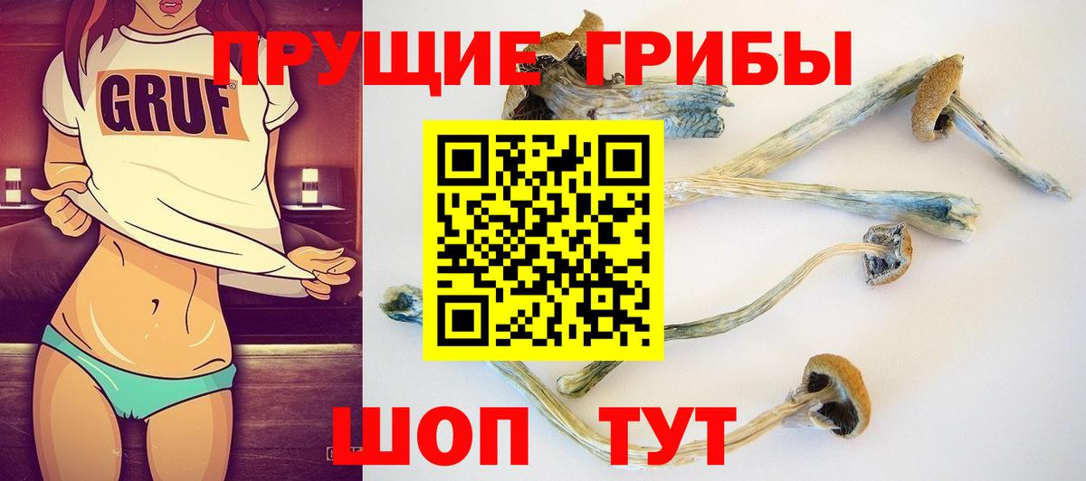 Псилоцибиновые грибы MAGIC MUSHROOMS Ивантеевка
